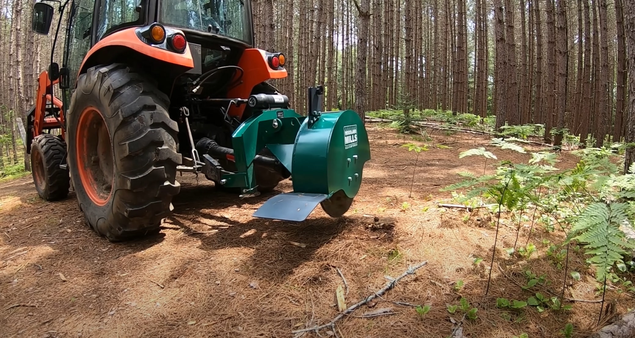 Stump grinding and removal equipment in Federal Way