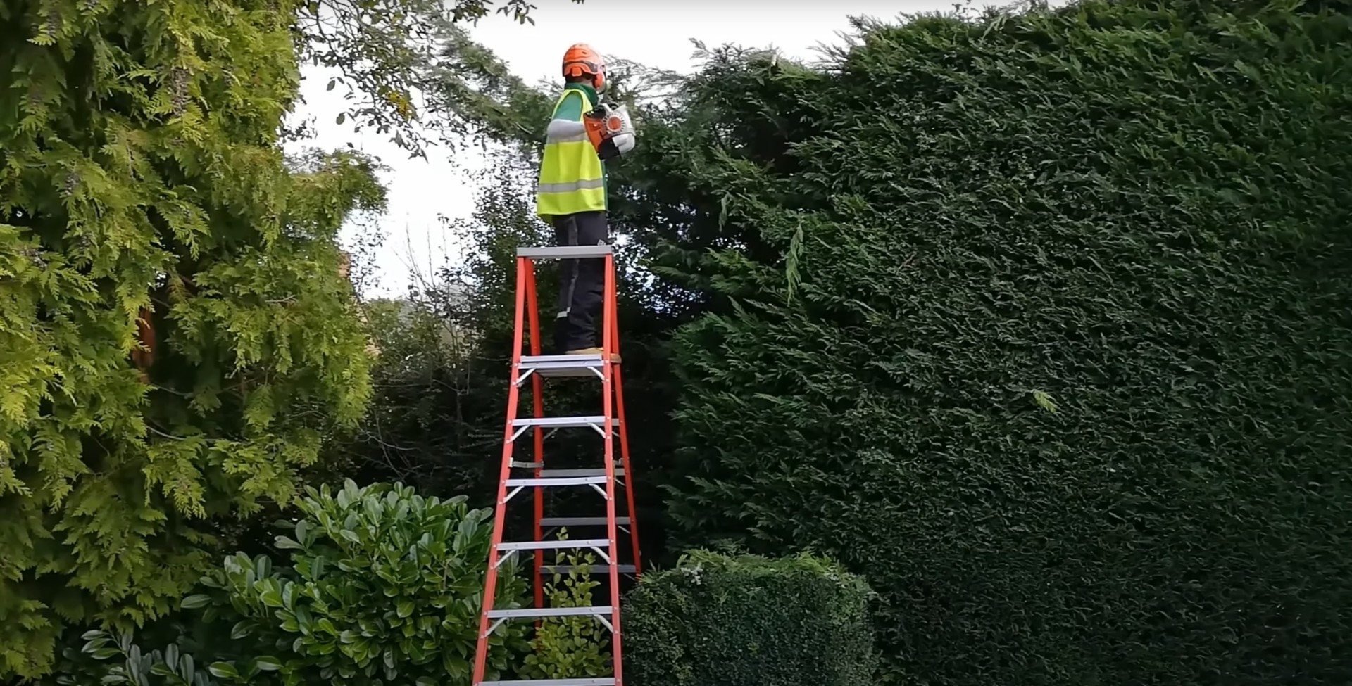 Expert tree trimming services with proper safety protocols Professional arborist trimming trees with safety equipment in Federal Way