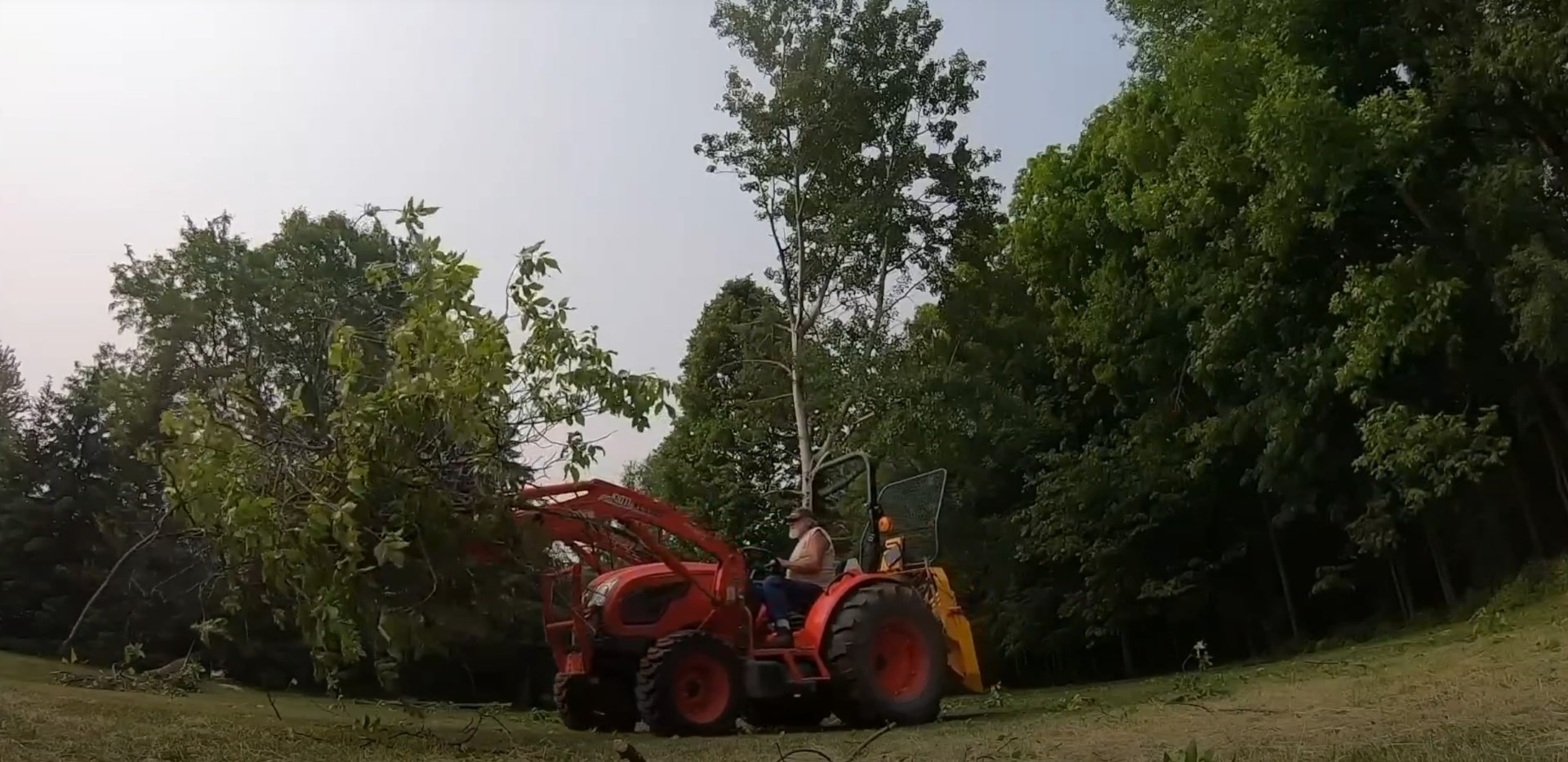 Heritage tree preservation and maintenance by Federal Way Tree Services Large mature trees being maintained by professional tree service equipment in residential setting