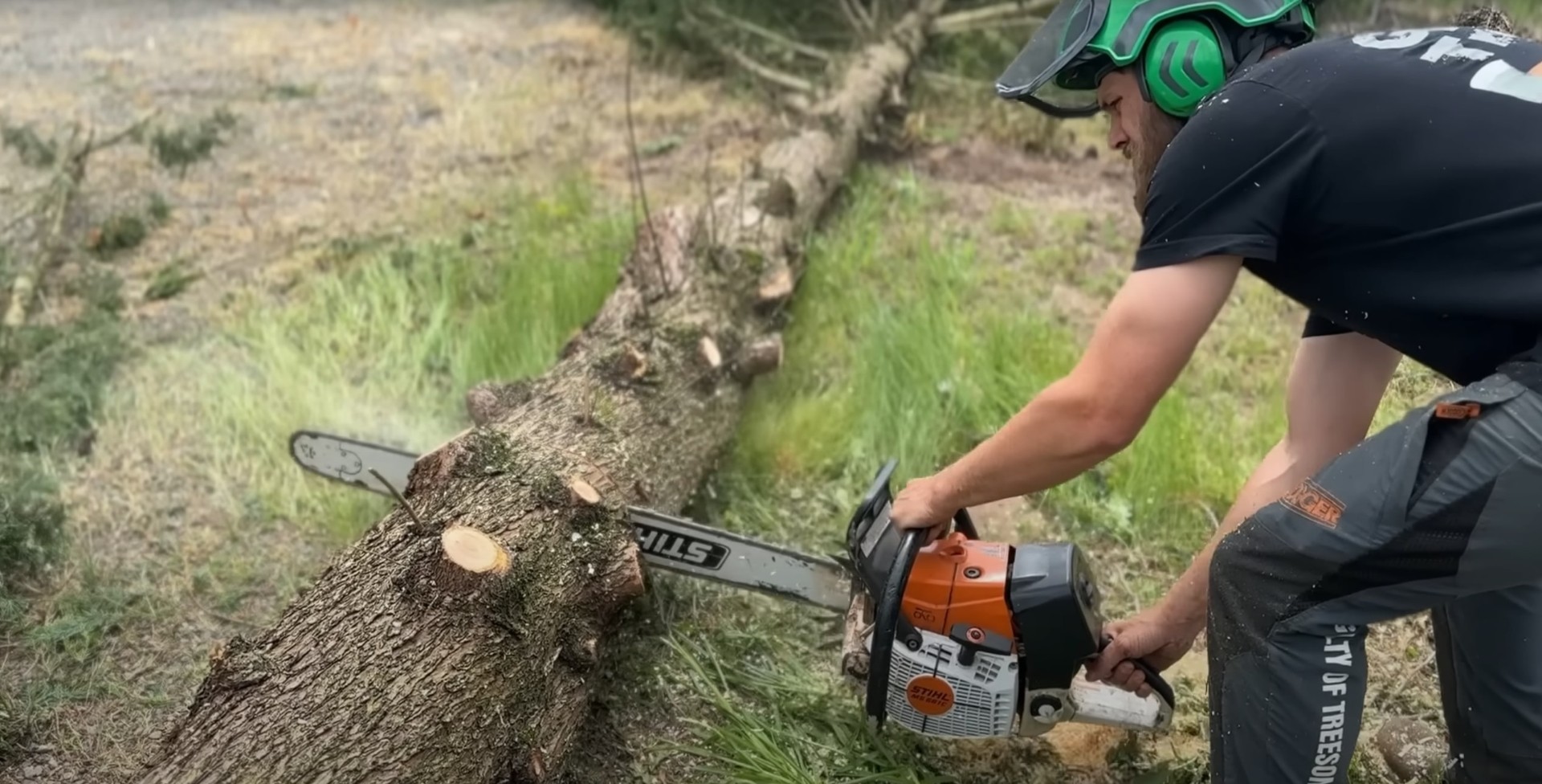 Expert tree trimming services by certified arborists in Federal Way Professional arborist using chainsaw for precise tree trimming and pruning work
