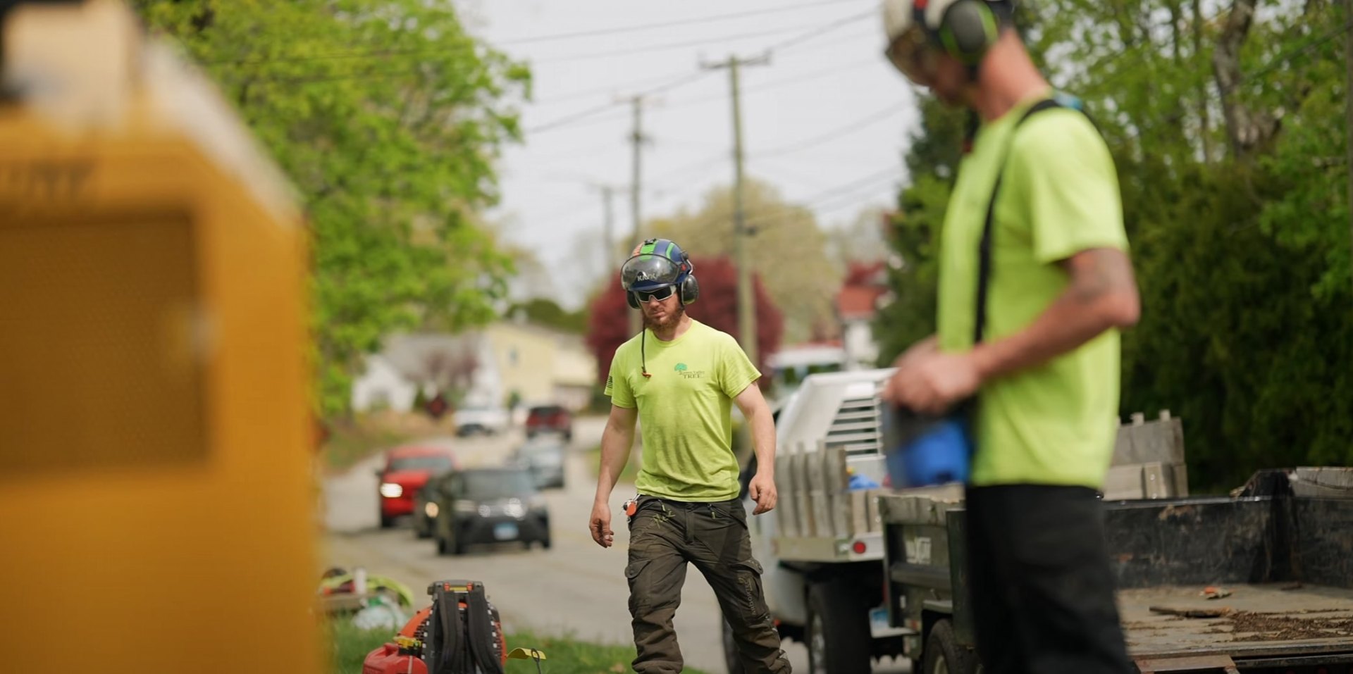 Professional Tree Service Team at Work Tree service crew members working safely with professional equipment