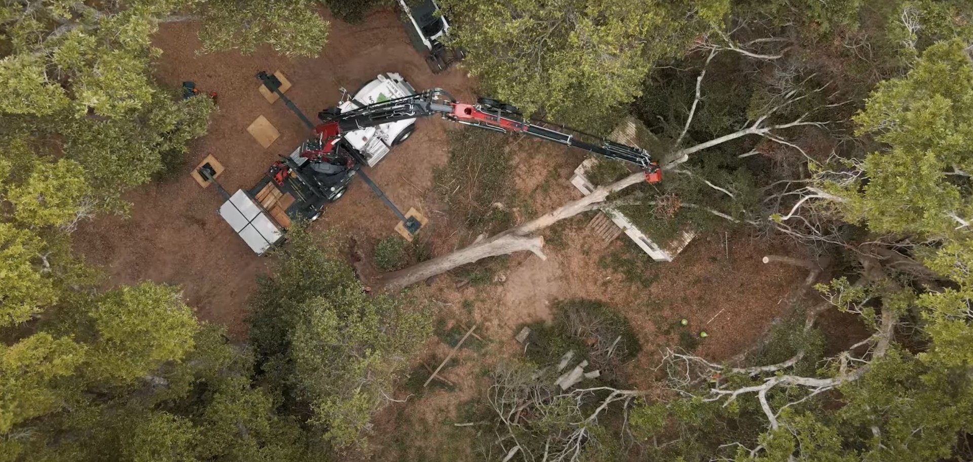 Professional emergency tree service team with specialized equipment Emergency tree removal equipment and crew responding to storm damage